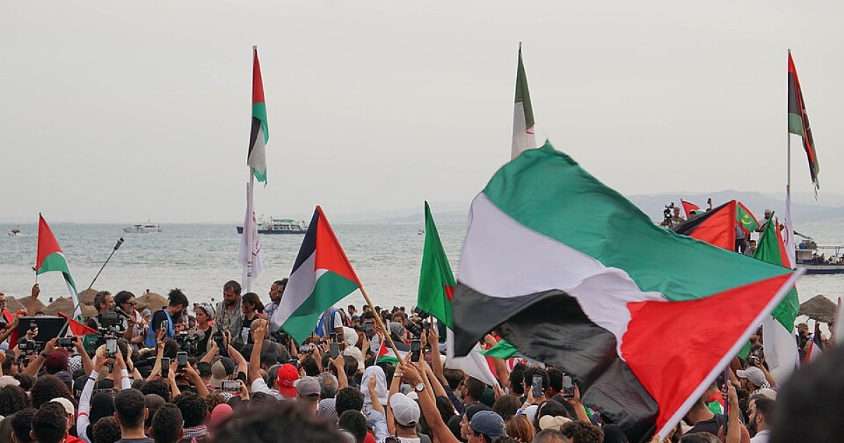 Global Sumud Flotilla to sail April 12 as Greenpeace deploys ship for ...
